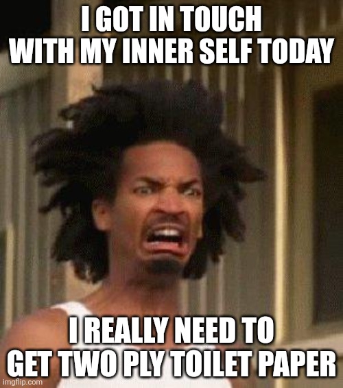 Disgusted Face | I GOT IN TOUCH WITH MY INNER SELF TODAY; I REALLY NEED TO GET TWO PLY TOILET PAPER | image tagged in disgusted face | made w/ Imgflip meme maker