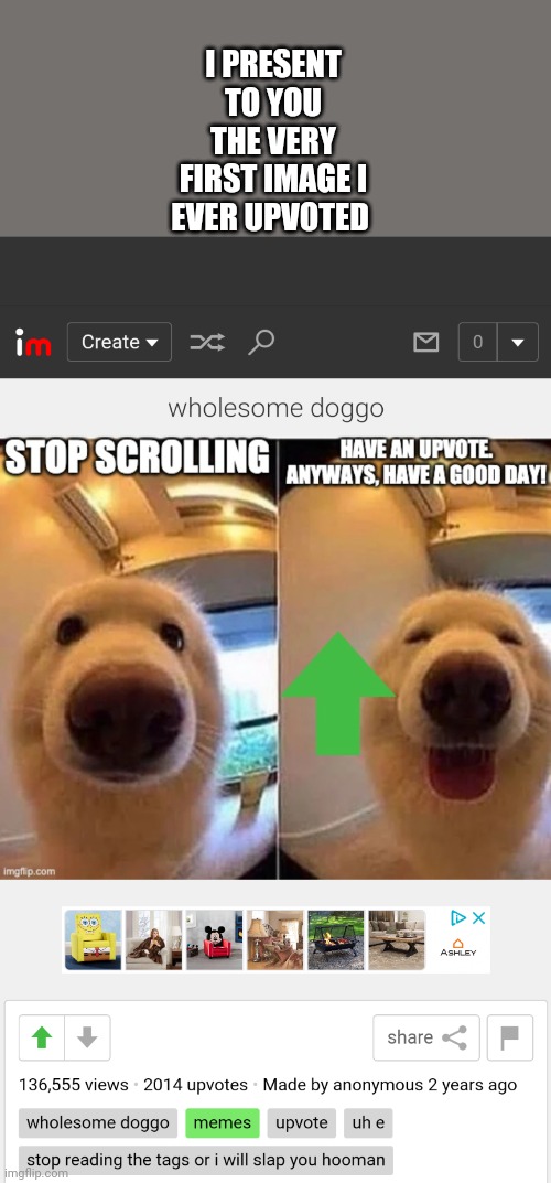 What are y'all's first image you ever upvoted? | I PRESENT TO YOU THE VERY FIRST IMAGE I EVER UPVOTED | image tagged in memes | made w/ Imgflip meme maker
