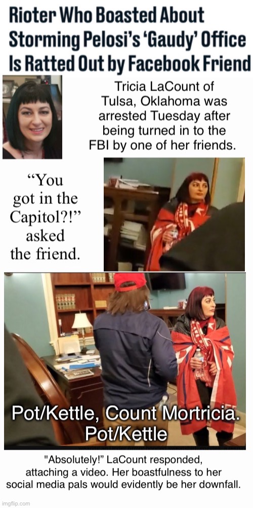 Pot/Kettle--La Count Can't See Her Reflection | image tagged in domestic terrorist,distasteful,treason,banged up,loser,takes one to know none | made w/ Imgflip meme maker