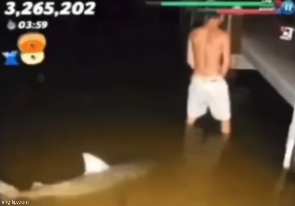 hungry shark evolution: piss edition | image tagged in hungry shark evolution piss edition | made w/ Imgflip meme maker