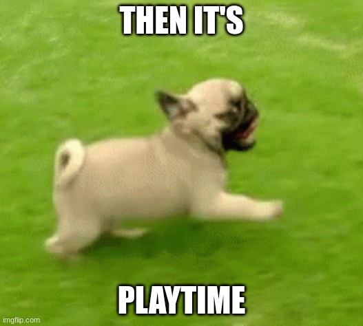 pug happy | THEN IT'S; PLAYTIME | image tagged in memes | made w/ Imgflip meme maker