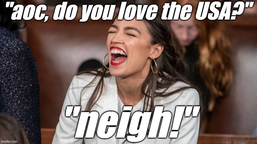 aoc Braying donkey-style | "aoc, do you love the USA?" "neigh!" | image tagged in aoc braying donkey-style | made w/ Imgflip meme maker