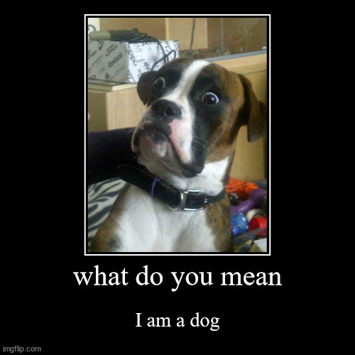 I am not a dog | image tagged in funny,demotivationals | made w/ Imgflip demotivational maker