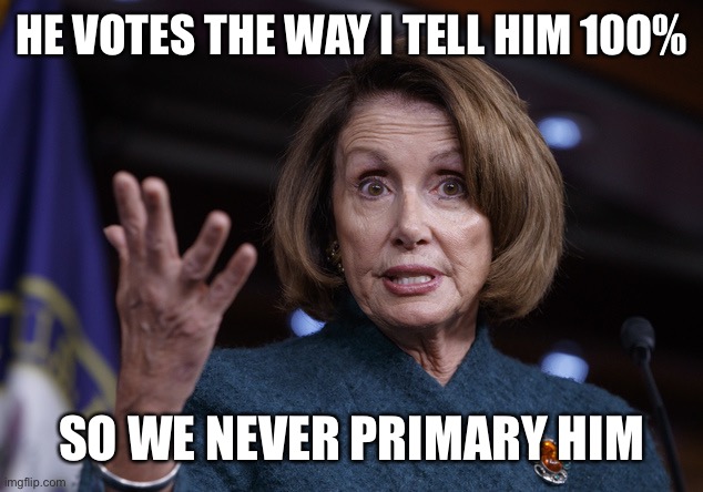 Good old Nancy Pelosi | HE VOTES THE WAY I TELL HIM 100% SO WE NEVER PRIMARY HIM | image tagged in good old nancy pelosi | made w/ Imgflip meme maker