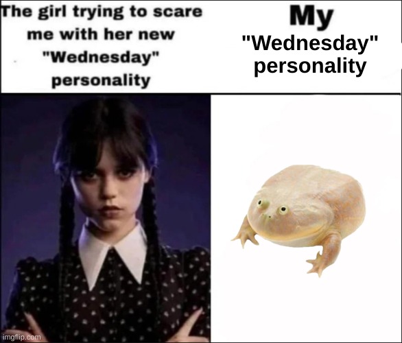 It is Wednesday my dudes | "Wednesday" personality | image tagged in the girl trying to scare me with her new wednesday personality,it is wednesday my dudes,wednesday frog | made w/ Imgflip meme maker