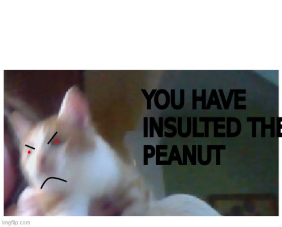 YOU HAVE INSULTED THE PEANUT | image tagged in you have insulted the peanut | made w/ Imgflip meme maker