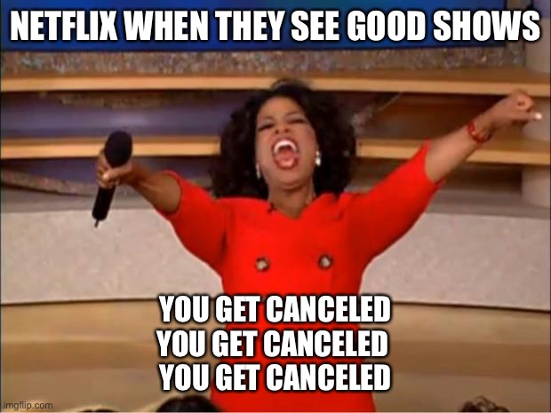 I like turtles | NETFLIX WHEN THEY SEE GOOD SHOWS; YOU GET CANCELED
YOU GET CANCELED 
YOU GET CANCELED | image tagged in memes,oprah you get a | made w/ Imgflip meme maker