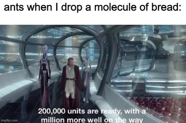 ants really be chasing down every last molecule of food | ants when I drop a molecule of bread: | image tagged in 200 000 units are ready with a million more well on the way,memes | made w/ Imgflip meme maker