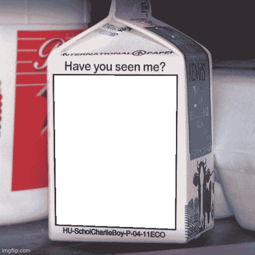 Missing Person | image tagged in missing person | made w/ Imgflip meme maker