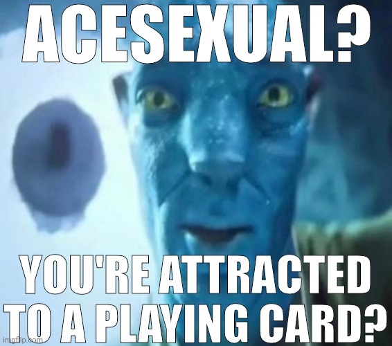 Avatar guy | ACESEXUAL? YOU'RE ATTRACTED TO A PLAYING CARD? | image tagged in avatar guy | made w/ Imgflip meme maker