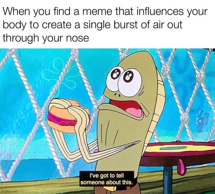 image tagged in memes,funny | made w/ Imgflip meme maker