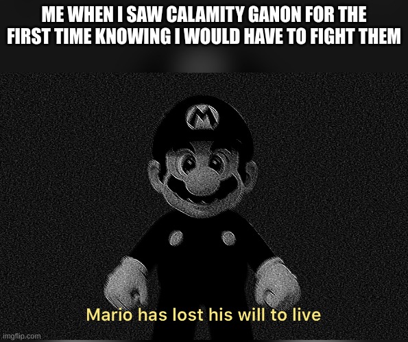 this was me when i first saw them | ME WHEN I SAW CALAMITY GANON FOR THE FIRST TIME KNOWING I WOULD HAVE TO FIGHT THEM | image tagged in mario has lost his will to live,fun,funny,meme,legend of zelda breath of the wild | made w/ Imgflip meme maker