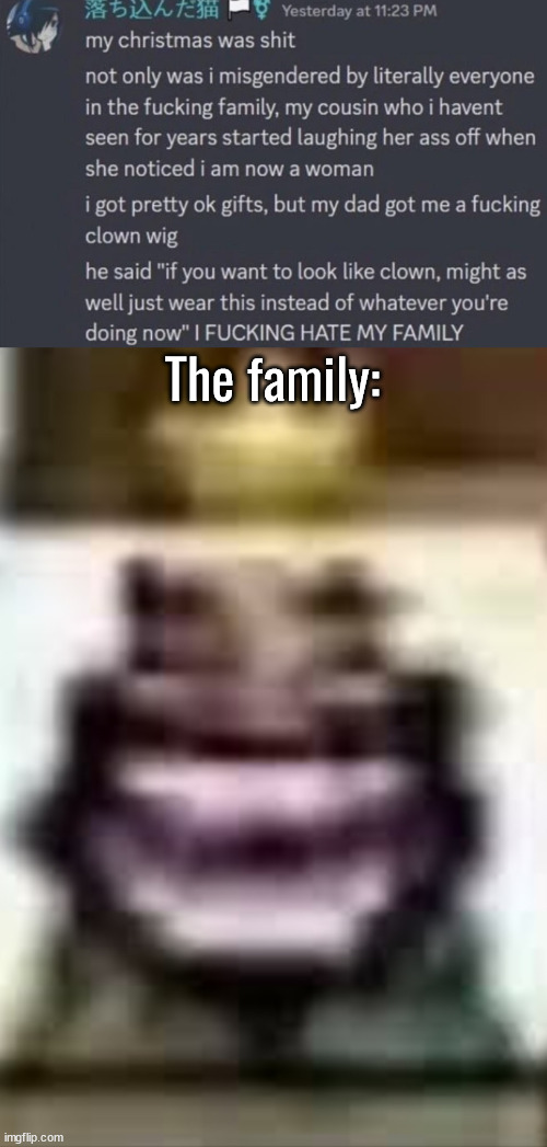 common retarded discord user | The family: | image tagged in low quality hehehehaw | made w/ Imgflip meme maker