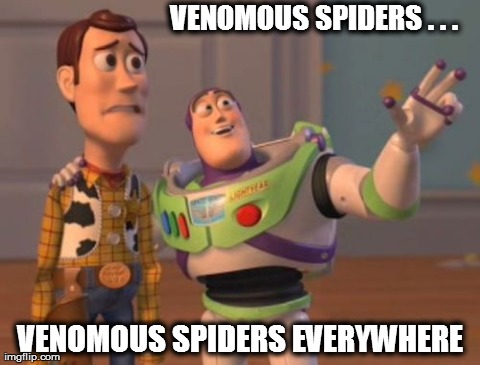 X, X Everywhere | VENOMOUS SPIDERS . . . VENOMOUS SPIDERS EVERYWHERE | image tagged in memes,x x everywhere | made w/ Imgflip meme maker