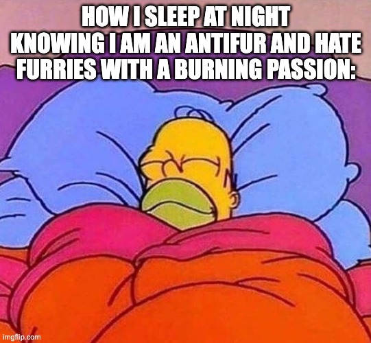 Yes | HOW I SLEEP AT NIGHT KNOWING I AM AN ANTIFUR AND HATE FURRIES WITH A BURNING PASSION: | image tagged in furries suck,relatable,too true memes | made w/ Imgflip meme maker