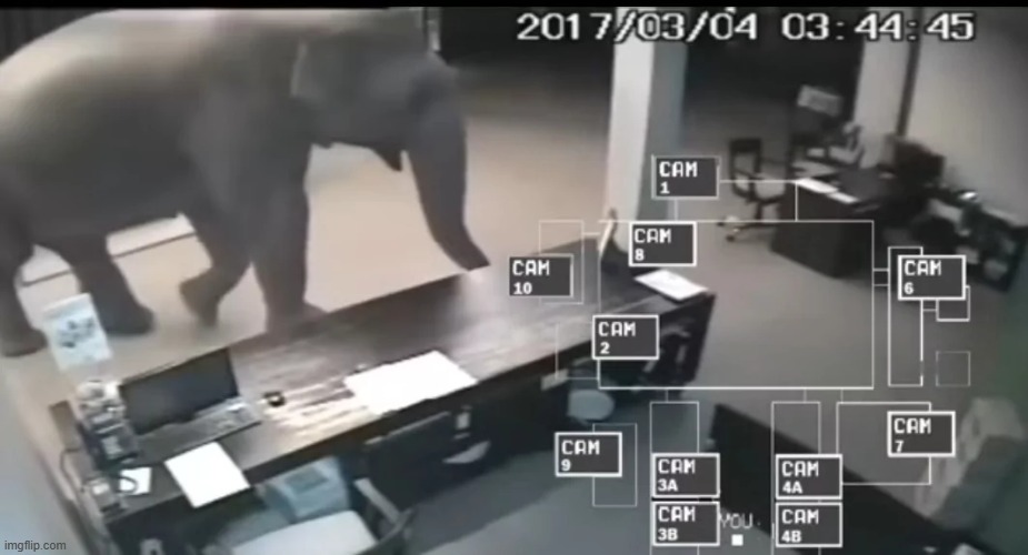 Security Breach:Africa | made w/ Imgflip meme maker