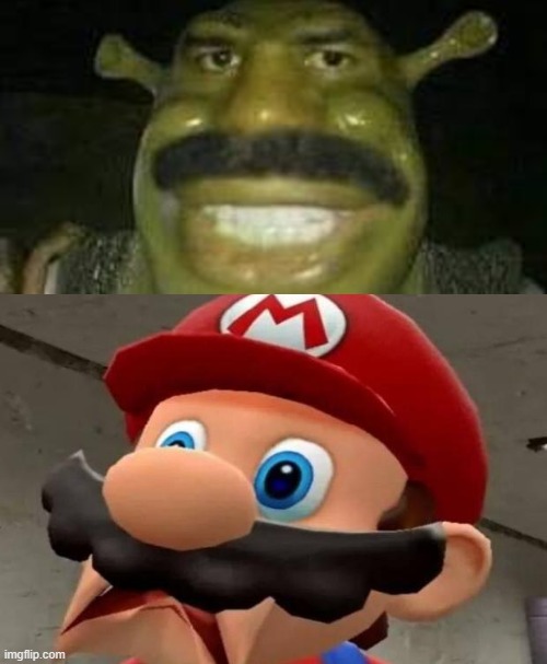 SOMEBODY ONCE TOL- | image tagged in mario wtf,shrek,cursed image,mustache | made w/ Imgflip meme maker