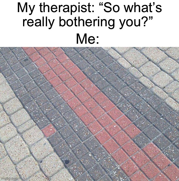 Someone shoot me, I can’t take it | My therapist: “So what’s really bothering you?”; Me: | image tagged in memes,funny,you had one job,ocd,funny memes,wtf | made w/ Imgflip meme maker