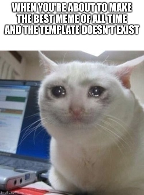 time to make a crappy meme | WHEN YOU'RE ABOUT TO MAKE THE BEST MEME OF ALL TIME AND THE TEMPLATE DOESN'T EXIST | image tagged in crying cat,memes,cats,meme,relatable | made w/ Imgflip meme maker