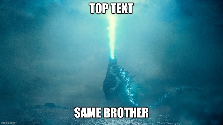 Godzilla 2014 | TOP TEXT SAME BROTHER | image tagged in godzilla 2014 | made w/ Imgflip meme maker
