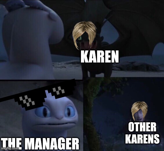 Do you relate? | KAREN; OTHER KARENS; THE MANAGER | image tagged in how to train your dragon 3 | made w/ Imgflip meme maker