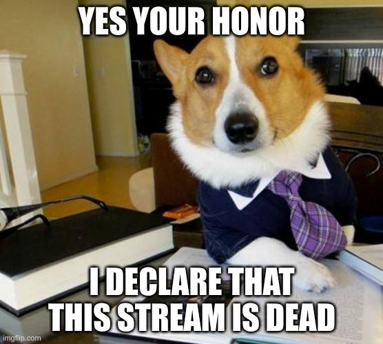 streams so dead (Owner note: Yes) | YES YOUR HONOR; I DECLARE THAT THIS STREAM IS DEAD | image tagged in lawyer corgi dog | made w/ Imgflip meme maker