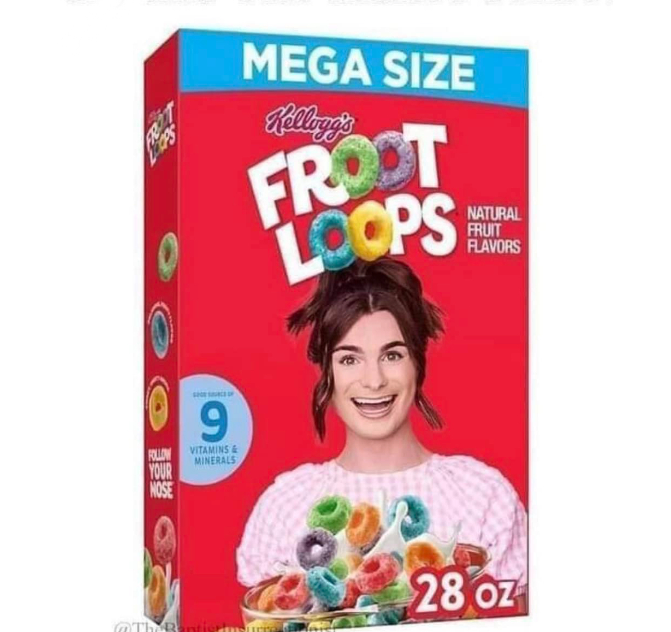 Fruit Loops Blank Template - Imgflip