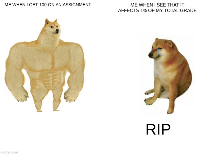 Me when I get good grade | ME WHEN I GET 100 ON AN ASSIGNMENT; ME WHEN I SEE THAT IT AFFECTS 1% OF MY TOTAL GRADE; RIP | image tagged in memes,buff doge vs cheems | made w/ Imgflip meme maker