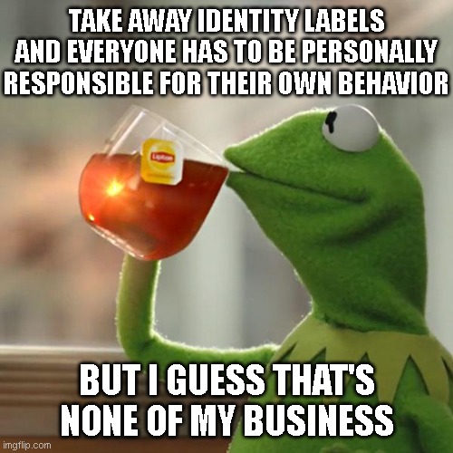 Identity Labels Everywhere | TAKE AWAY IDENTITY LABELS AND EVERYONE HAS TO BE PERSONALLY RESPONSIBLE FOR THEIR OWN BEHAVIOR; BUT I GUESS THAT'S NONE OF MY BUSINESS | image tagged in memes,but that's none of my business,kermit the frog,identity politics | made w/ Imgflip meme maker