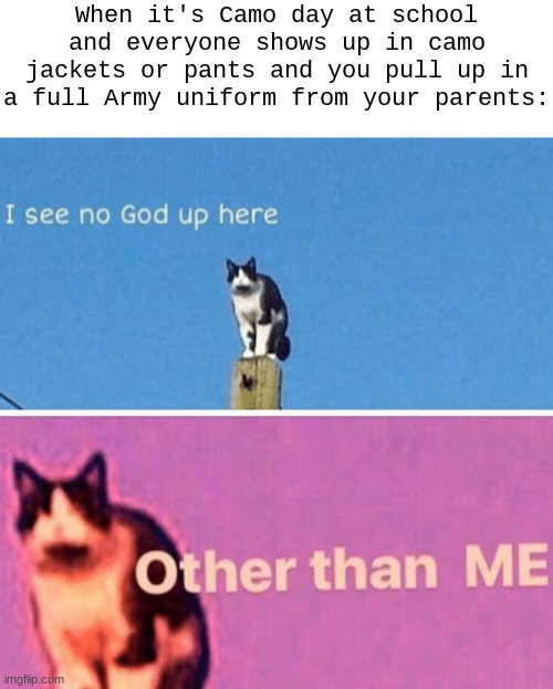 "I won Camo Day." | When it's Camo day at school and everyone shows up in camo jackets or pants and you pull up in a full Army uniform from your parents: | image tagged in hail pole cat | made w/ Imgflip meme maker