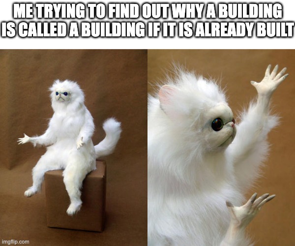 Who decided that was right? | ME TRYING TO FIND OUT WHY A BUILDING IS CALLED A BUILDING IF IT IS ALREADY BUILT | image tagged in memes,persian cat room guardian,why,lol,funny,so true memes | made w/ Imgflip meme maker