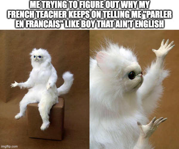 Like Teacher that ain't English | ME TRYING TO FIGURE OUT WHY MY FRENCH TEACHER KEEPS ON TELLING ME "PARLER EN FRANCAIS" LIKE BOY THAT AIN'T ENGLISH | image tagged in memes,persian cat room guardian,french,lol,funny,so true memes | made w/ Imgflip meme maker
