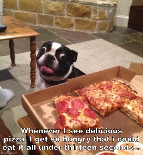 Hungry Pizza Dog | Whenever I see delicious pizza, I get so hungry that i could eat it all under thirteen seconds... | image tagged in hungry pizza dog | made w/ Imgflip meme maker