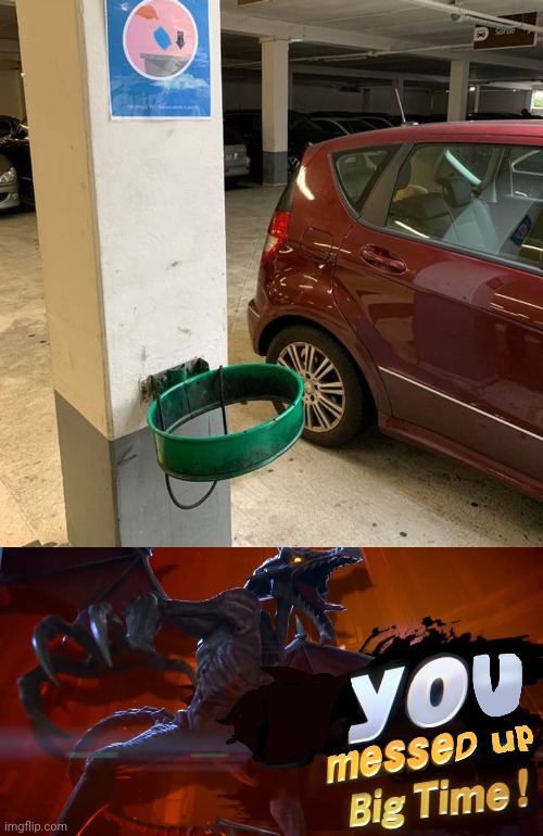Trashcan fail | image tagged in ridley you messed up big time,you had one job,memes,trashcan,trash can,hoop | made w/ Imgflip meme maker