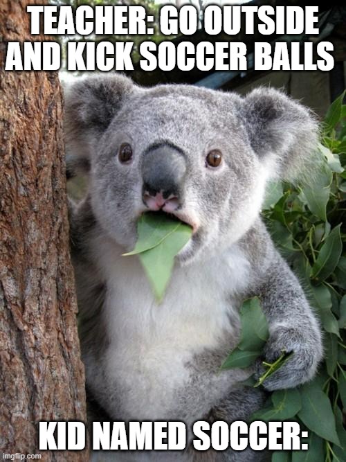 I had to work through the phantom ball pain to make this, your welcome | TEACHER: GO OUTSIDE AND KICK SOCCER BALLS; KID NAMED SOCCER: | image tagged in memes,surprised koala | made w/ Imgflip meme maker
