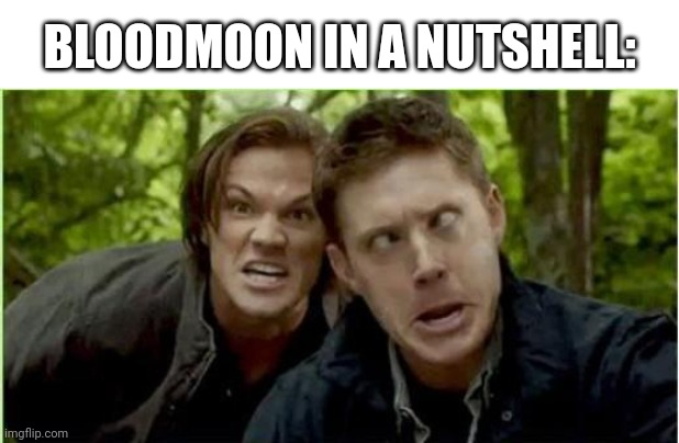 I mean am I wrong?! | BLOODMOON IN A NUTSHELL: | image tagged in supernatural | made w/ Imgflip meme maker