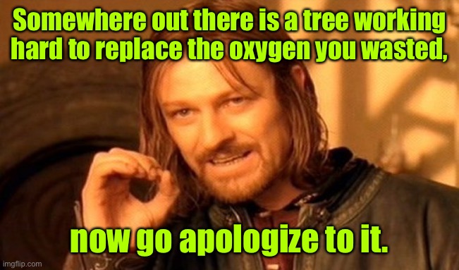 Somewhere out there | Somewhere out there is a tree working hard to replace the oxygen you wasted, now go apologize to it. | image tagged in memes,out there is a tree,replacing oxygen you wasted,go apologize to them,rareinsults | made w/ Imgflip meme maker