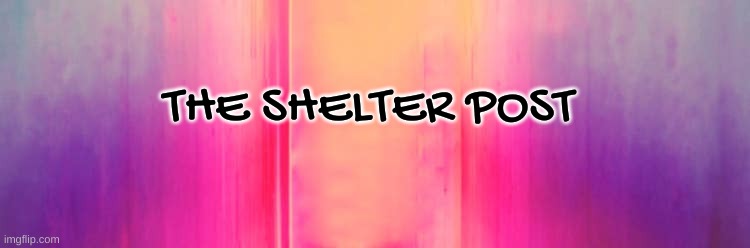 the shelter post | THE SHELTER POST | image tagged in animals,shelter,group | made w/ Imgflip meme maker