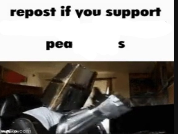 repost if you support beating the shit out of pedophiles | image tagged in repost if you support beating the shit out of pedophiles | made w/ Imgflip meme maker