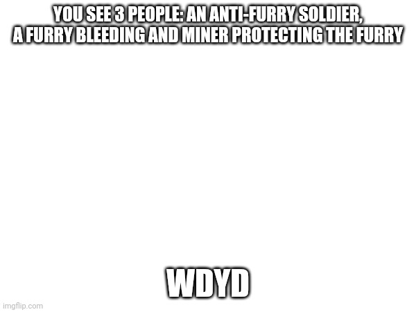 Wanna rp | YOU SEE 3 PEOPLE: AN ANTI-FURRY SOLDIER, A FURRY BLEEDING AND MINER PROTECTING THE FURRY; WDYD | image tagged in roleplaying | made w/ Imgflip meme maker