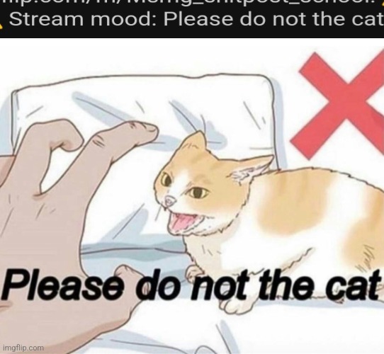 Please do not the cat | image tagged in please do not the cat | made w/ Imgflip meme maker