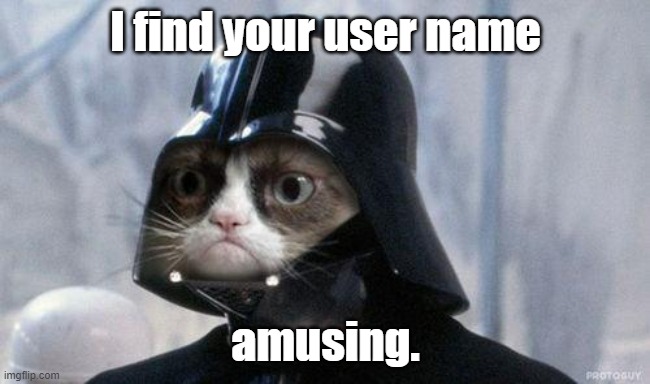 Grumpy Cat Star Wars Meme | I find your user name amusing. | image tagged in memes,grumpy cat star wars,grumpy cat | made w/ Imgflip meme maker