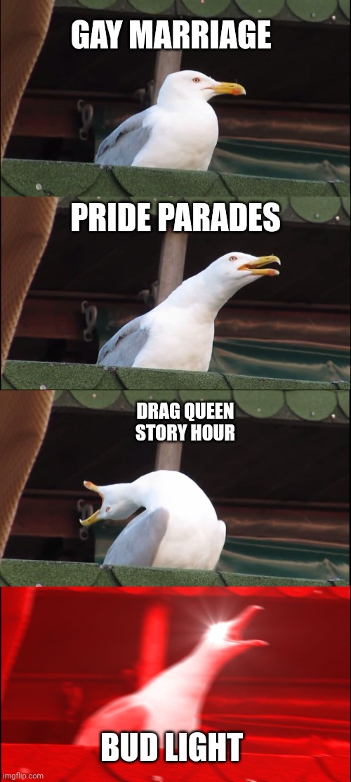 Inhaling Seagull | GAY MARRIAGE; PRIDE PARADES; DRAG QUEEN STORY HOUR; BUD LIGHT | image tagged in memes,inhaling seagull | made w/ Imgflip meme maker