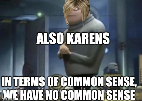in term of ... we have no ... | IN TERMS OF COMMON SENSE, WE HAVE NO COMMON SENSE ALSO KARENS | image tagged in in term of we have no | made w/ Imgflip meme maker