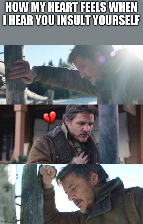 Things have been really busy lately, so I’m sorry for the Wholesome Meme delay | HOW MY HEART FEELS WHEN I HEAR YOU INSULT YOURSELF; 💔 | image tagged in the last of us,wholesome | made w/ Imgflip meme maker