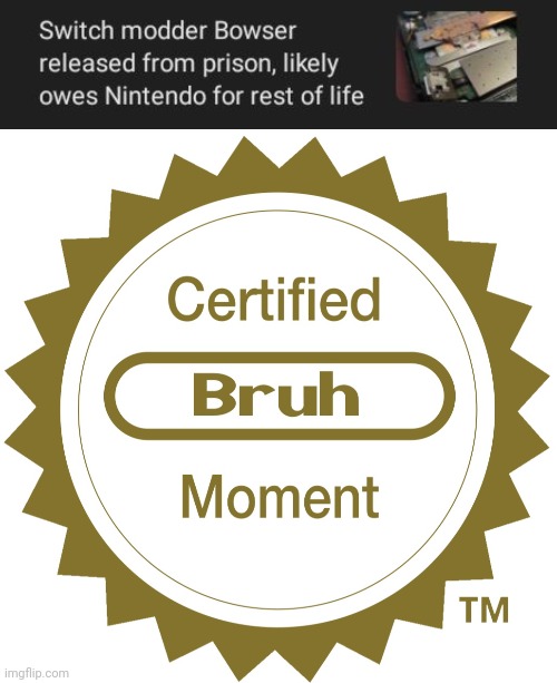 Switch modder Bowser | image tagged in certified bruh moment,bowser,nintendo,memes,gaming,prison | made w/ Imgflip meme maker
