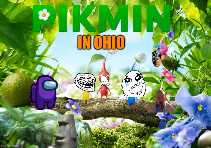 I made this as a joke | IN OHIO | image tagged in blank pikmin without pikmin | made w/ Imgflip meme maker