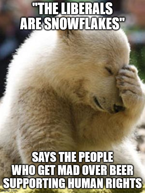 Facepalm Bear | "THE LIBERALS ARE SNOWFLAKES"; SAYS THE PEOPLE WHO GET MAD OVER BEER SUPPORTING HUMAN RIGHTS | image tagged in memes,facepalm bear,snowflakes,politics,political meme | made w/ Imgflip meme maker