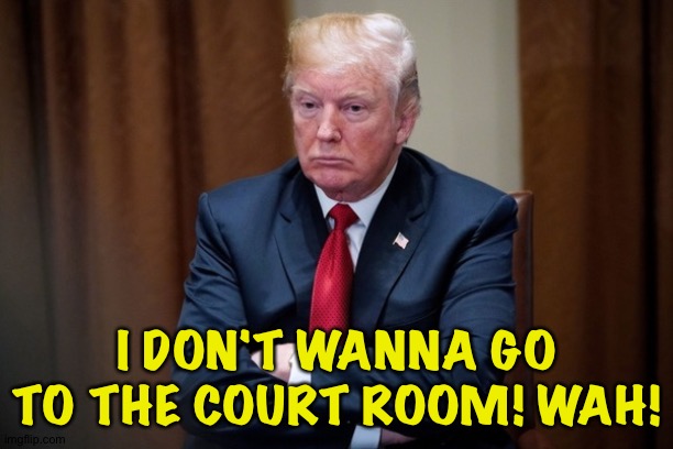 Man Baby Trump | I DON'T WANNA GO TO THE COURT ROOM! WAH! | image tagged in man baby trump | made w/ Imgflip meme maker