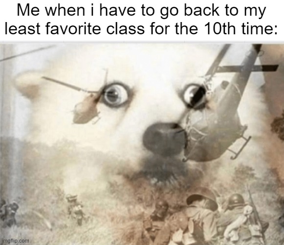 PTSD dog | Me when i have to go back to my least favorite class for the 10th time: | image tagged in ptsd dog | made w/ Imgflip meme maker